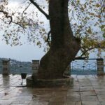Πήλιο: Βουνό, Θάλασσα & Παραδοσιακά Χωριά